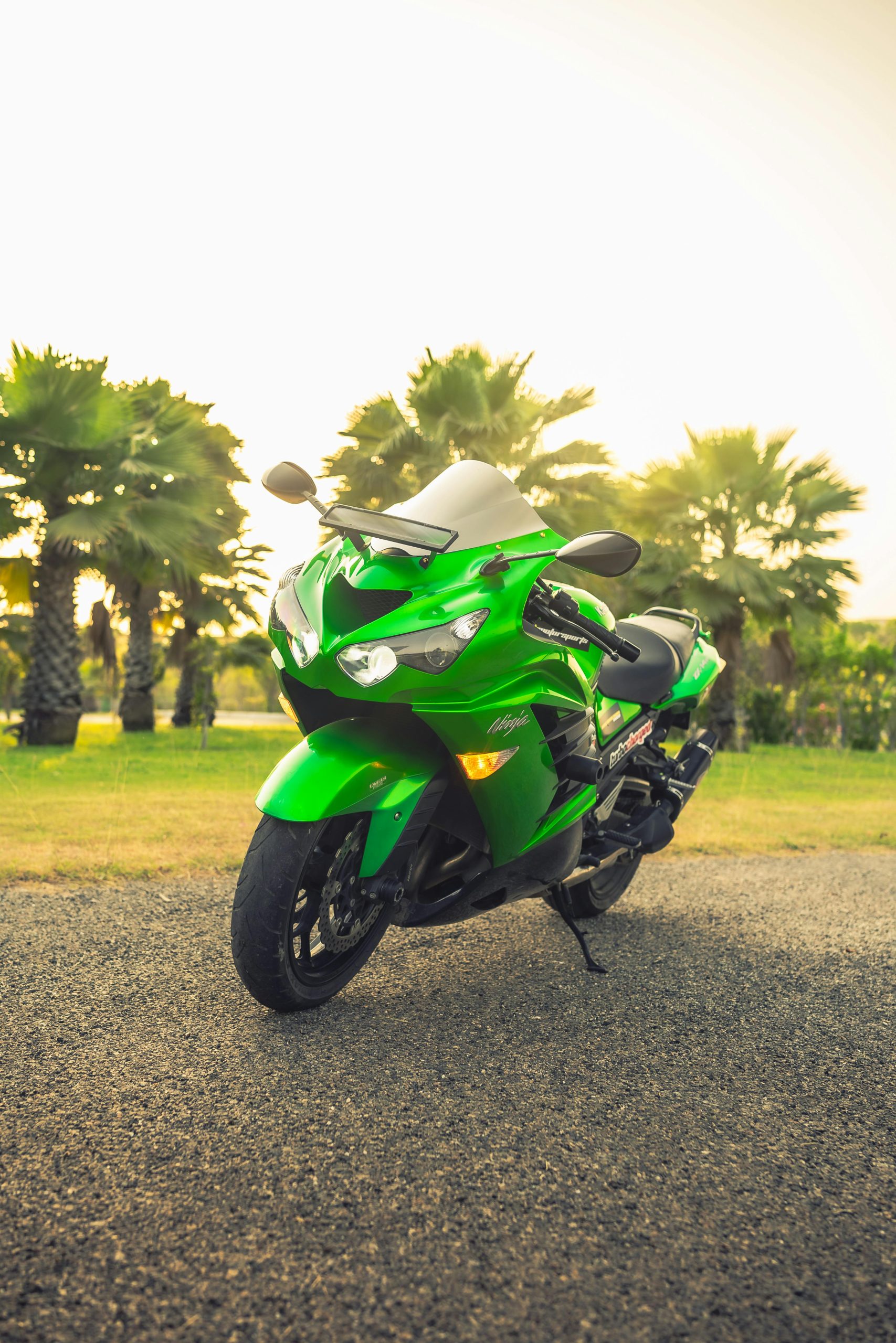 Une Kawasaki Ninja verte frappante garée en extérieur, entourée de palmiers.