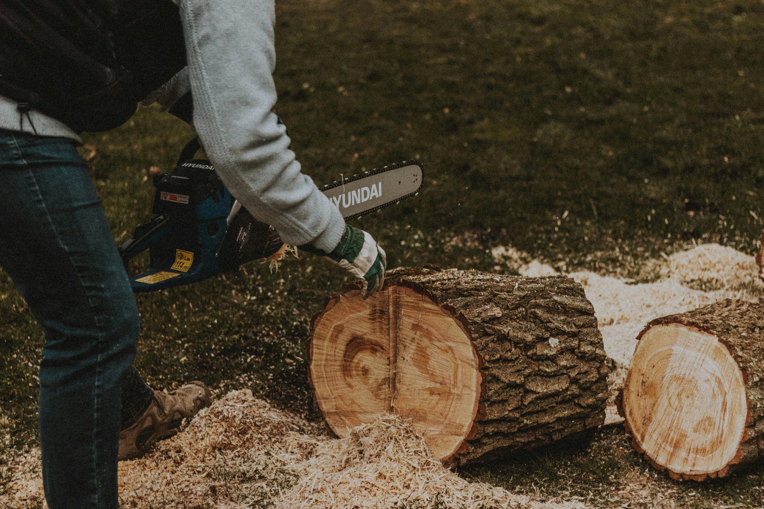 Un homme utilisant une tronçonneuse pour couper des bûches dans un cadre rural herbeux, illustrant le travail de coupe de bois.