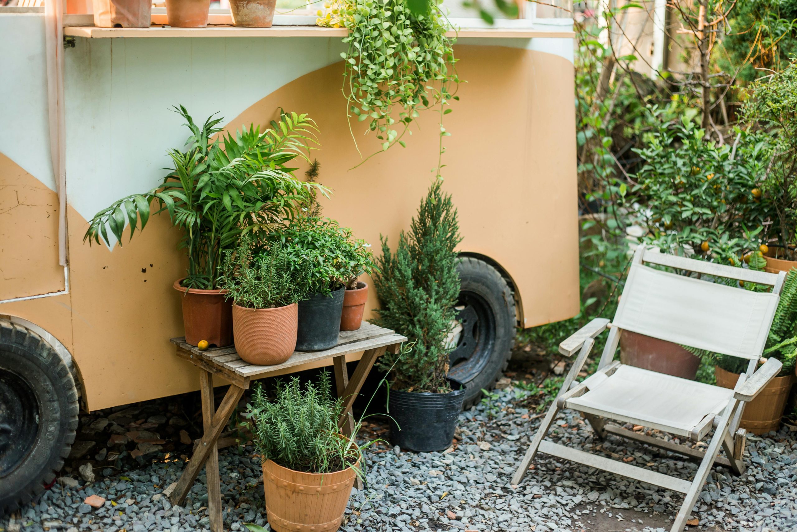 Charmant espace de patio mettant en valeur des plantes en pot et une chaise confortable à côté d'une caravane vintage.