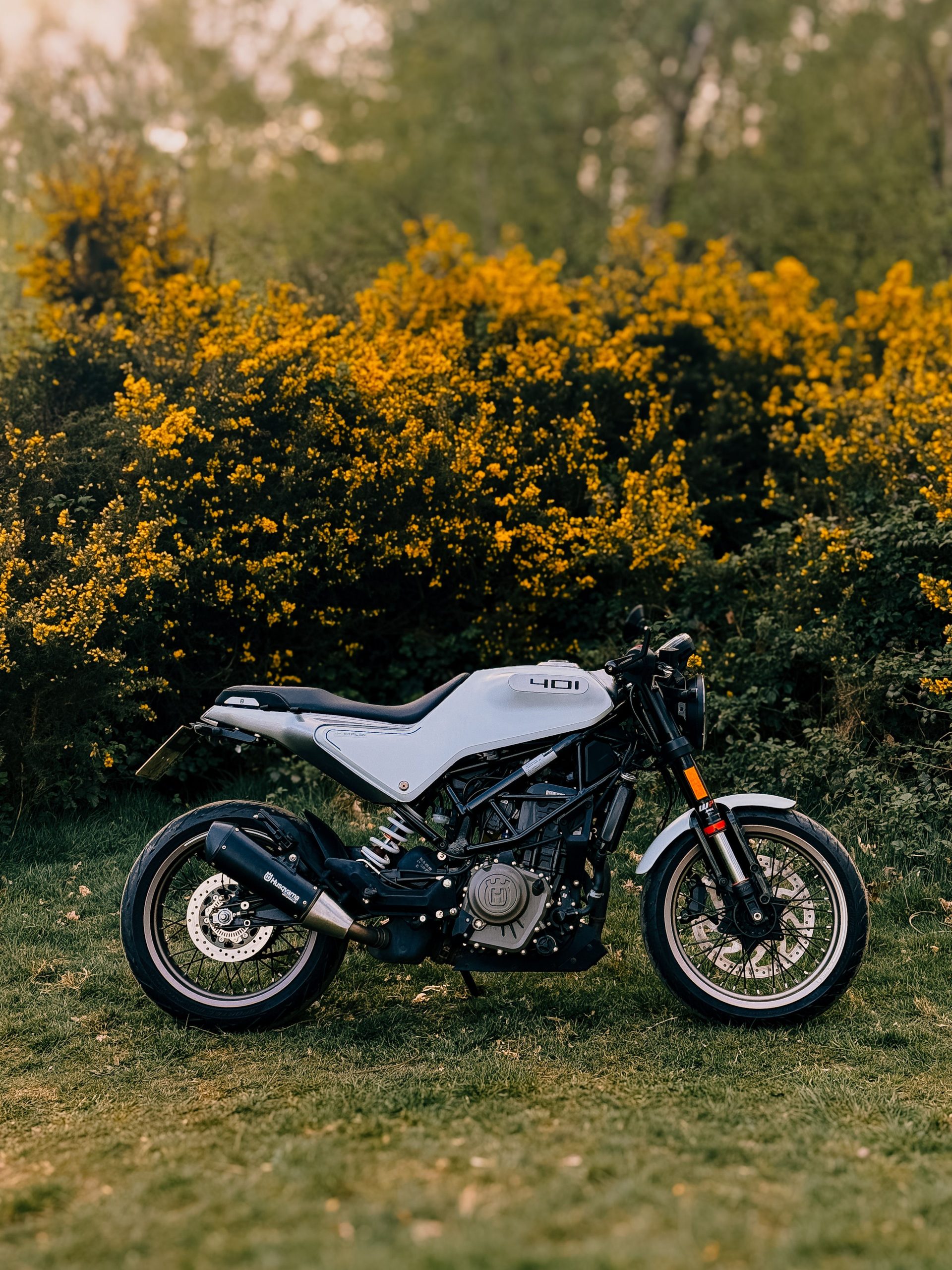 A sleek cafe racer motorcycle parked against vibrant yellow flowers in a London park. Une élégante moto cafe racer garée contre des fleurs jaune vif dans un parc londonien.