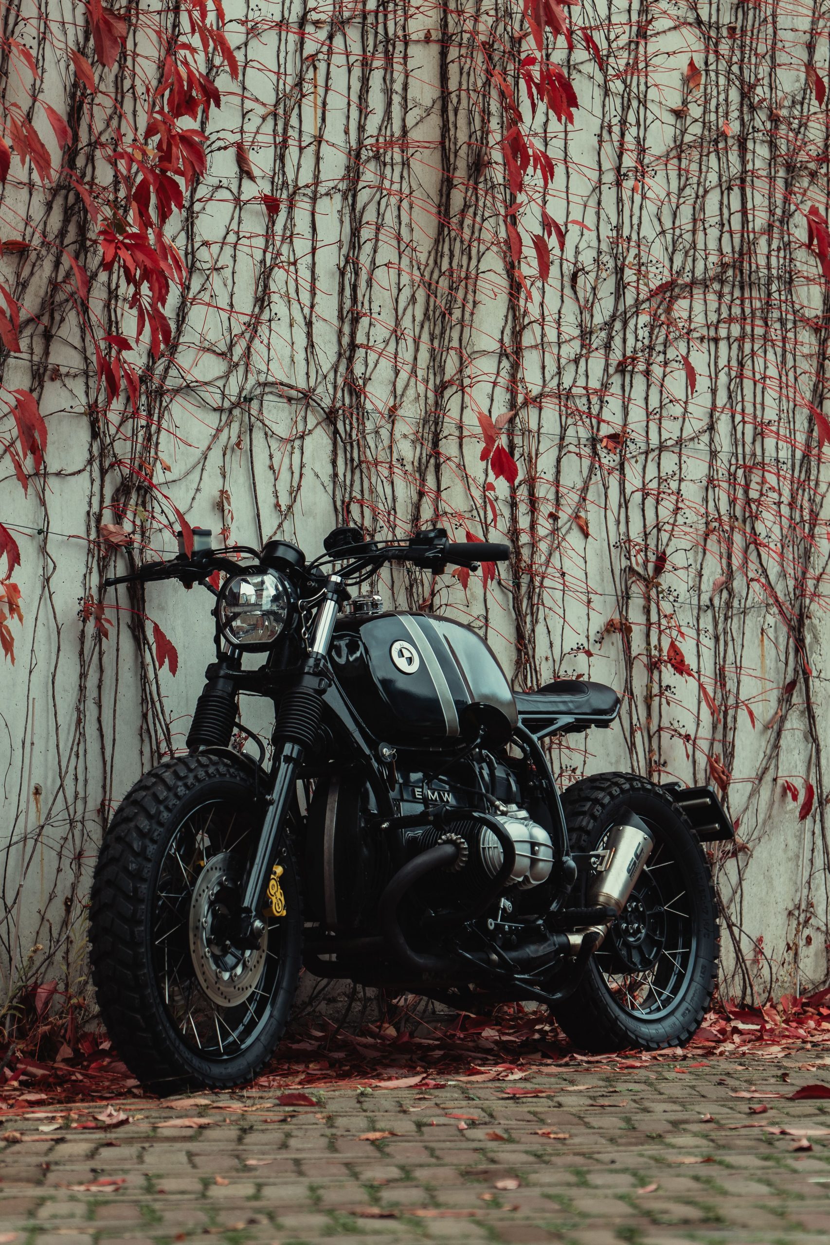 BMW 1200 Scrambler en action