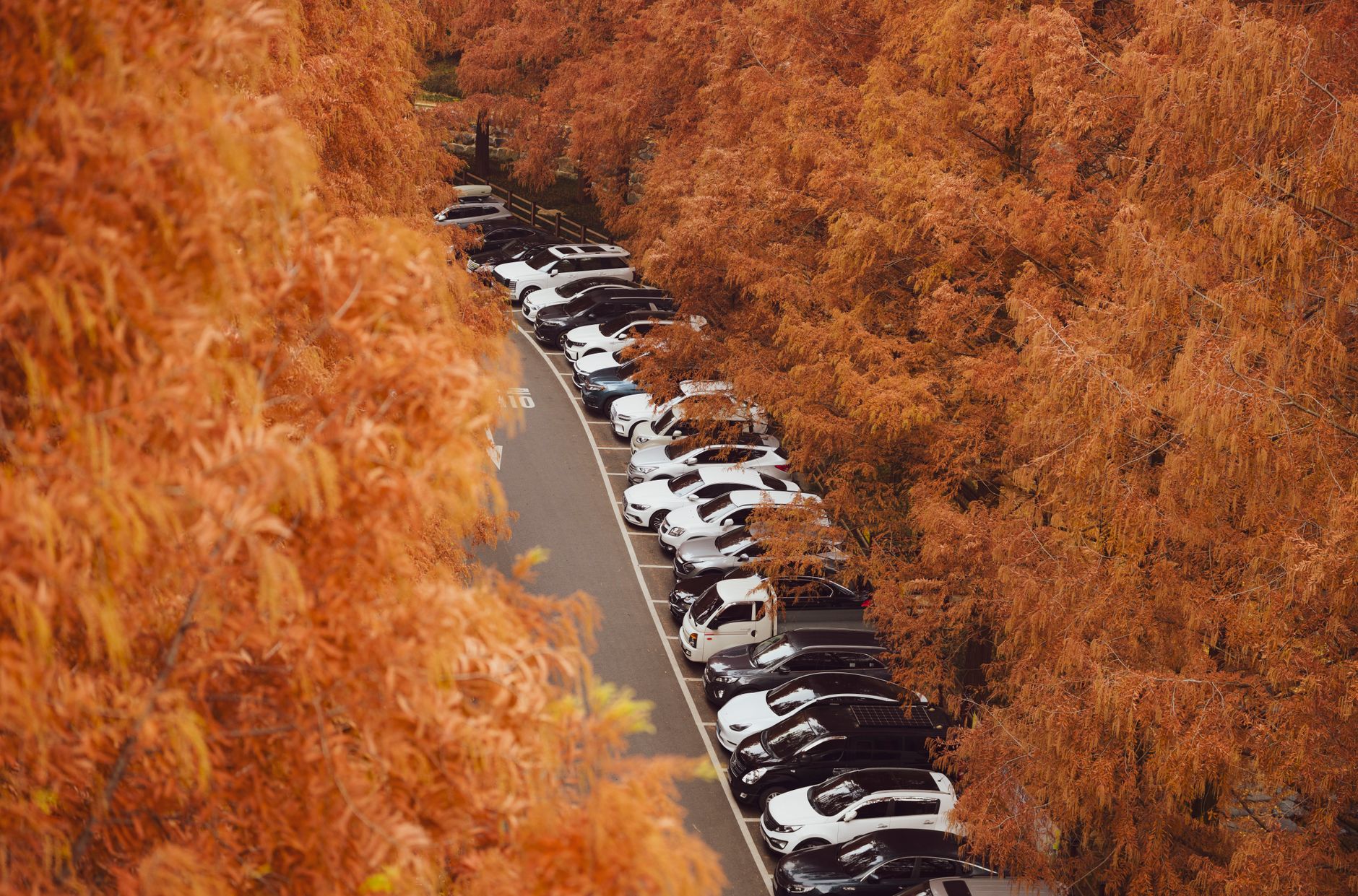 Vue en hauteur d'un parking rempli de voitures garées